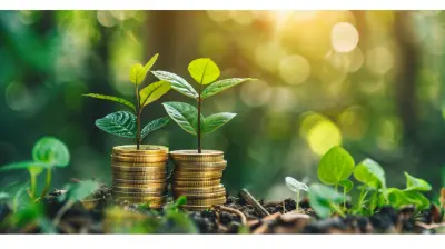 The Rise of Wealthtech: Digital Platforms for Investment