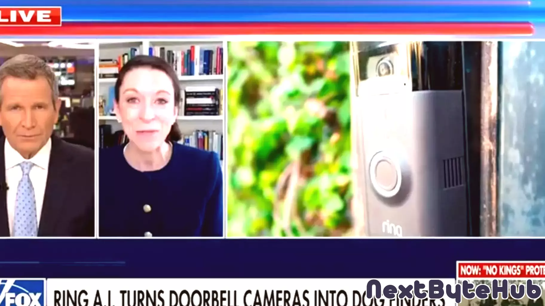 AI technology helps reunite lost pets with owners using Ring doorbell cameras