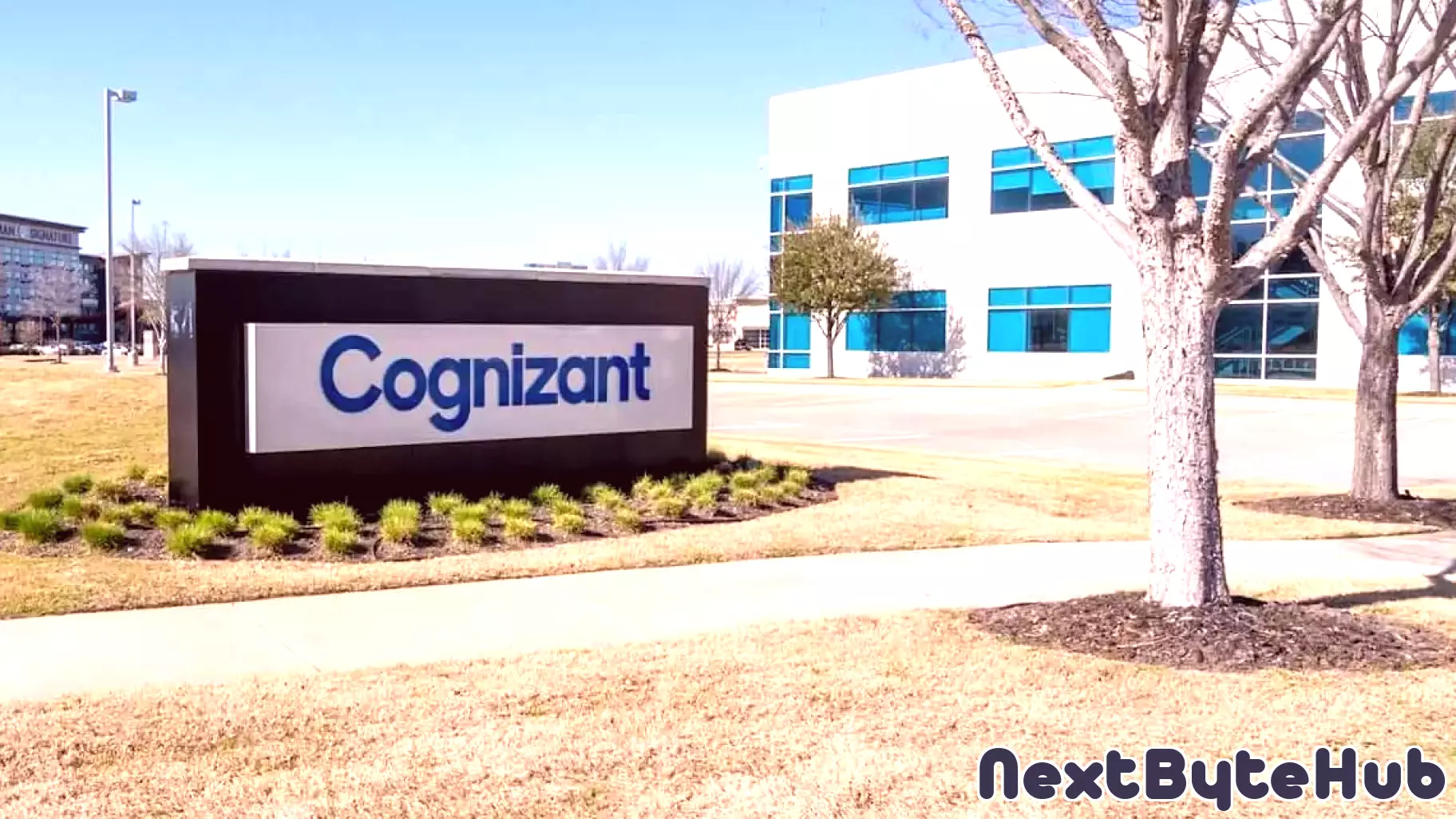 Cognizant Technology Solutions Faces Challenges Compared to S&P 500