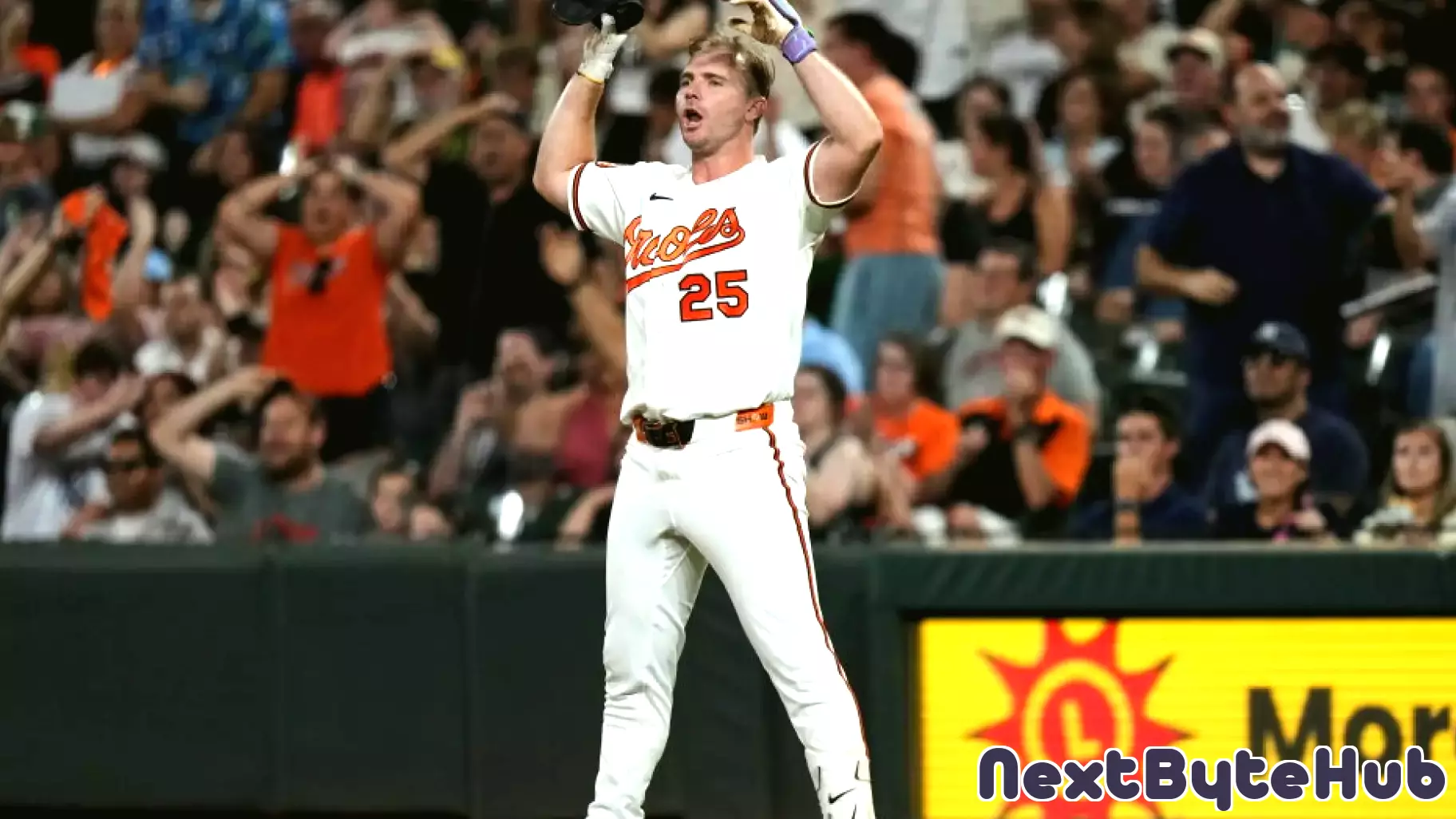 Does baseball need even more technology for plays like Alonso's fly ball?