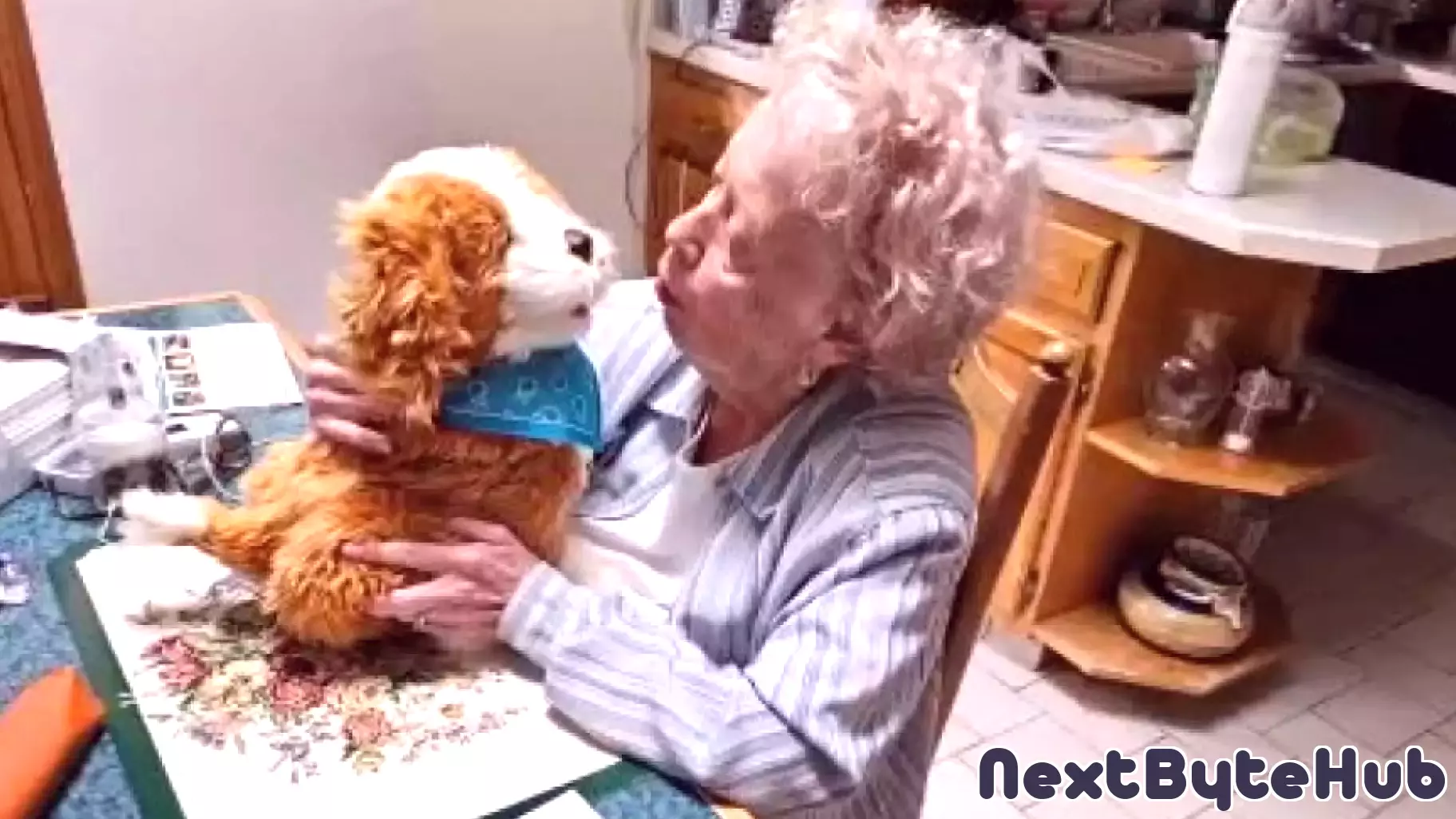 Older adults are embracing new technology