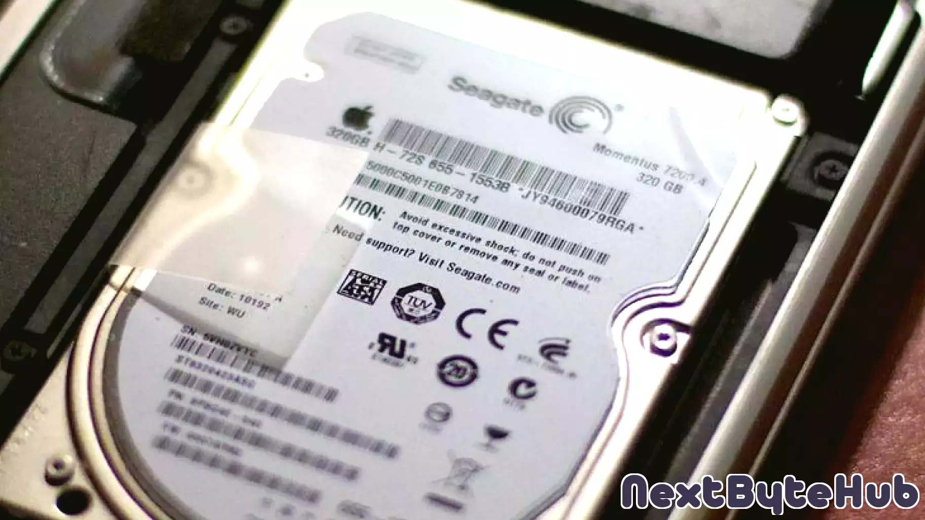 Seagate Technology Holdings: Analyzing Valuation Amid Stock Surge