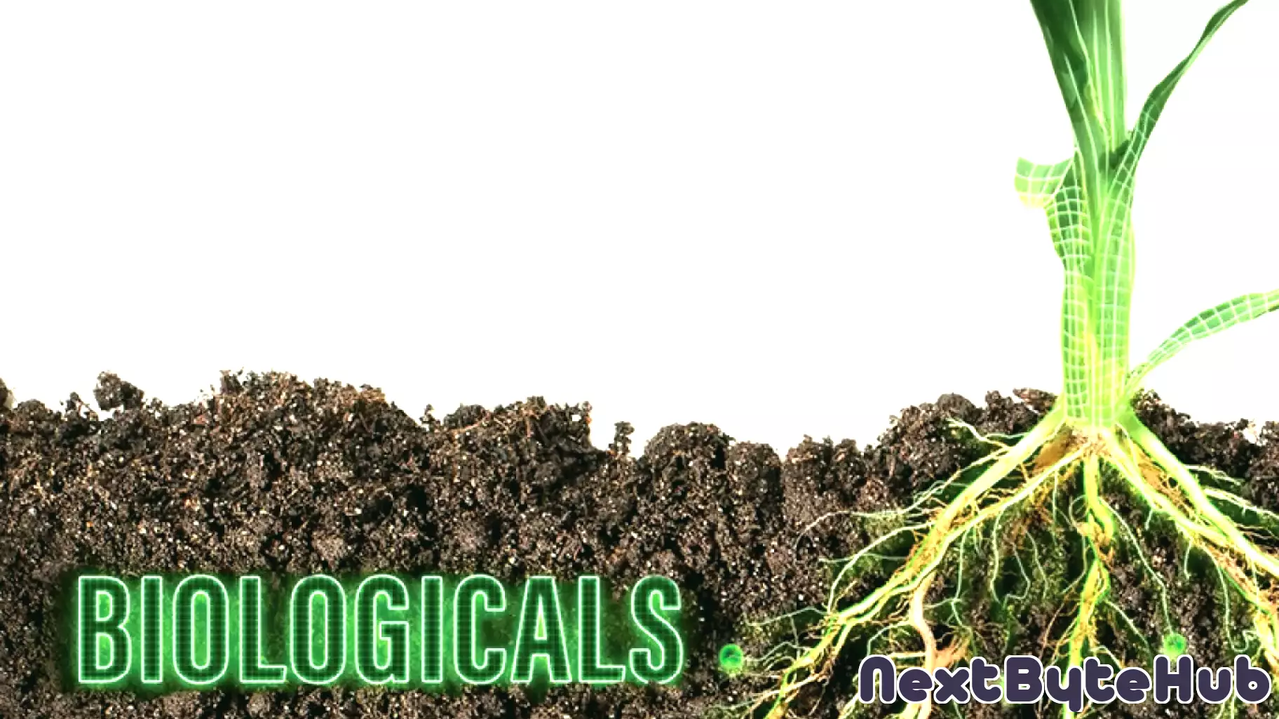 The Future of Crop Biologicals: A New Era of Growth