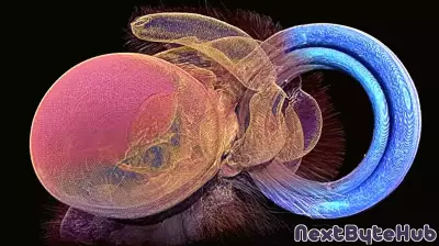 Butterfly-inspired technology could change the way we monitor air